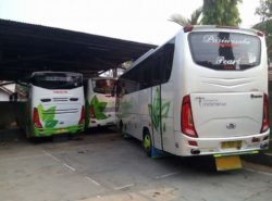 bus margo mulyo