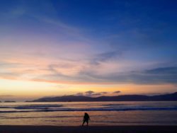 Pariwisata Indonesia