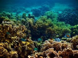 Lampung, Pulau Pahawang