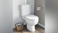 Toilet mau jokowi