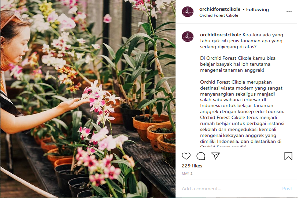 Pariwisata Indonesia