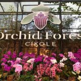 Pariwisata Indonesia