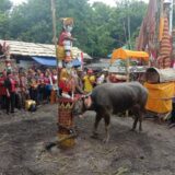 Pariwisata Indonesia