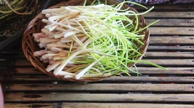 Pariwisata Indonesia