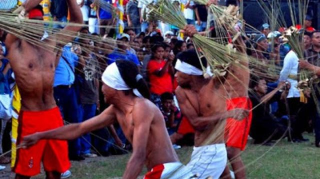 Pariwisata Indonesia, situs pariwisata indonesia official, pariwisata indonesia official, Atraksi Pukul Sapu Lidi, Budaya Maluku, Morela, Negeri Adat Morela, Pukul Sapu, Tradisi Unik dari Maluku Tengah, wisata budaya, wisata sejarah, Pariwisata, Website Pariwisata Indonesia, Website Pariwisata Indonesia Official, Pariwisata Indonesia Bangkit, Media Pariwisata Indonesia Official, Indonesia Tourism, Media PVK, Umi Kalsum Founder PVK