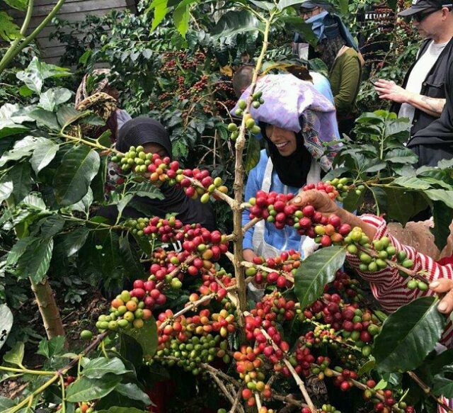 Pariwisata Indonesia