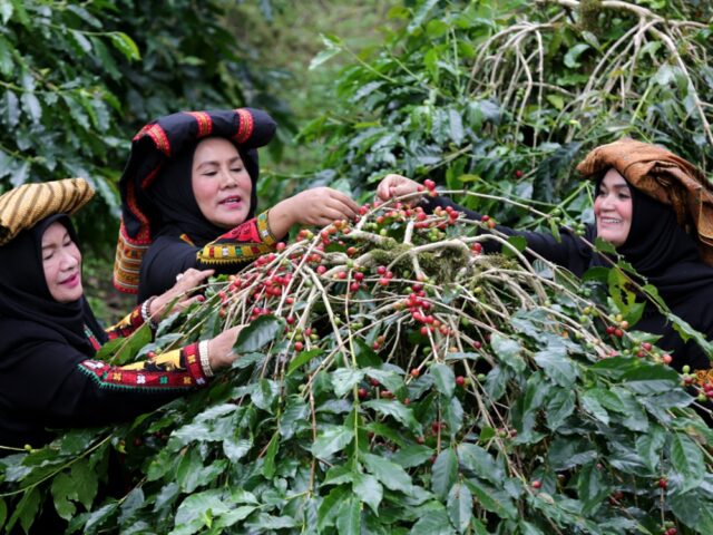 Pariwisata Indonesia