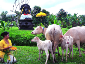 Pariwisata Indonesia