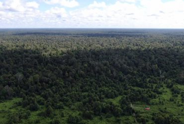 PariwisataIndonesia.hutangambutkalimantantengah