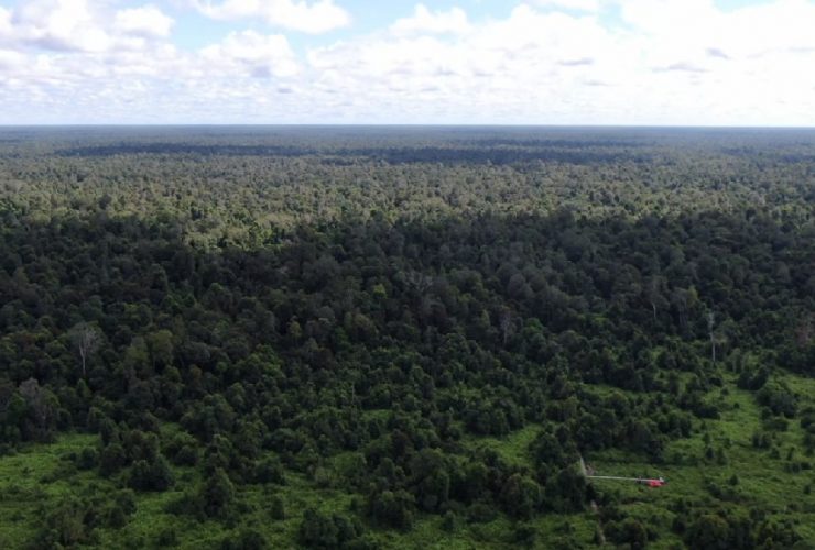 PariwisataIndonesia.hutangambutkalimantantengah