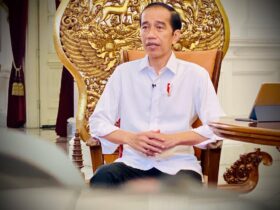 Presiden Jokowi, Berita Presiden Joko Widodo, berita pariwisata, warta wisata, situs pariwisata, website pariwisata, pariwisata indonesia, website pariwisata indonesia terfavorit tahun 2020, media online pariwisata indonesia terfavorit 2020, berita presiden jokowi terkini, Presiden Serahkan Bantuan Modal Kerja untuk Pelaku UMKM, Vaksin Covid-19 Gratis