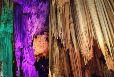 GOA GONG,INDONESIA CULTURE AND TOURISM,INDONESIA OFFICIAL TOURISM WEBSITE,INDONESIA TOURISM INVESTMENT,INDONESIA'S OFFICIAL TOURISM WEBSITE,INDONESIAN TOURISM WEBSITE,MEDIA ONLINE PARIWISATA INDONESIA TERFAVORIT 2020,MEDIA PVK GRUP,MEDIA RESMI PARIWISATA INDONESIA,PARIWISATA INDONESIA,SITUS MEDIA ONLINE PARIWISATA INDONESIASITUS RESMI PARIWISATA INDONESIA,TUJUAN WISATA FAVORIT DI JAWA TIMUR, WEBSITE PARIWISATA INDONESIA OFFICIAL,WEBSITE PARIWISATA INDONESIA TERFAVORIT 2020,WEBSITE RESMI PARIWISATA INDONESIA,WISATA GOA GONG DI PACITAN,Umi Kalsum Founder PVK Grup dan CEO Media PVK Grup, WISATA POPULER DI JAWA TIMUR,WISATA SEJARAH DI INDONESIA,BUDAYA NUSANTARA,EXPLORE BUDAYA INDONESIA,HALO INDONESIA,