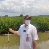 PariwisataIndonesia, Penataan Kawasan Pesisir Tangerang