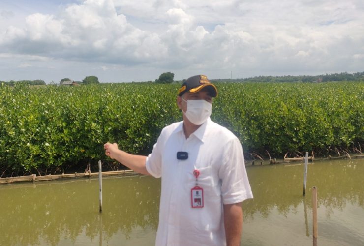 PariwisataIndonesia, Penataan Kawasan Pesisir Tangerang