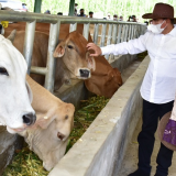 Umi Kalsum Founder dan CEO PVK Group,BERITA PEMPROV SUMUT,GUBERNUR SUMUT RESMIKAN INSTALASI PEMBIBITAN TERNAK SAPI,INDONESIA OFFICIAL TOURISM WEBSITE,INDONESIA'S OFFICIAL TOURISM WEBSITE,INDONESIAN TOURISM WEBSITE,MEDIA ONLINE PARIWISATA INDONESIA TERFAVORIT 2020,MEDIA PARIWISATA INDONESIA OFFICIAL,MEDIA PVK GROUP,MEDIA PVK GROUP DENGAN 10 SITUS PARIWISATA DAN E MAGAZINE,MEDIA RESMI PARIWISATA INDONESIA,PARIWISATA INDONESIA,WEBSITE RESMI PARIWISATA INDONESIA, Gubernur Sumatera Utara Edy Rahmayadi