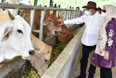 Umi Kalsum Founder dan CEO PVK Group,BERITA PEMPROV SUMUT,GUBERNUR SUMUT RESMIKAN INSTALASI PEMBIBITAN TERNAK SAPI,INDONESIA OFFICIAL TOURISM WEBSITE,INDONESIA'S OFFICIAL TOURISM WEBSITE,INDONESIAN TOURISM WEBSITE,MEDIA ONLINE PARIWISATA INDONESIA TERFAVORIT 2020,MEDIA PARIWISATA INDONESIA OFFICIAL,MEDIA PVK GROUP,MEDIA PVK GROUP DENGAN 10 SITUS PARIWISATA DAN E MAGAZINE,MEDIA RESMI PARIWISATA INDONESIA,PARIWISATA INDONESIA,WEBSITE RESMI PARIWISATA INDONESIA, Gubernur Sumatera Utara Edy Rahmayadi