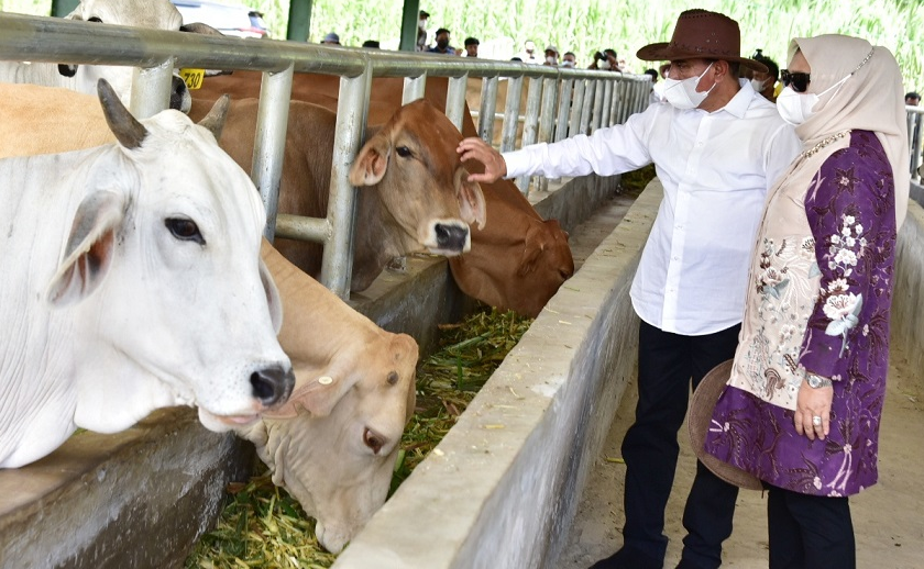 Umi Kalsum Founder dan CEO PVK Group,BERITA PEMPROV SUMUT,GUBERNUR SUMUT RESMIKAN INSTALASI PEMBIBITAN TERNAK SAPI,INDONESIA OFFICIAL TOURISM WEBSITE,INDONESIA'S OFFICIAL TOURISM WEBSITE,INDONESIAN TOURISM WEBSITE,MEDIA ONLINE PARIWISATA INDONESIA TERFAVORIT 2020,MEDIA PARIWISATA INDONESIA OFFICIAL,MEDIA PVK GROUP,MEDIA PVK GROUP DENGAN 10 SITUS PARIWISATA DAN E MAGAZINE,MEDIA RESMI PARIWISATA INDONESIA,PARIWISATA INDONESIA,WEBSITE RESMI PARIWISATA INDONESIA, Gubernur Sumatera Utara Edy Rahmayadi