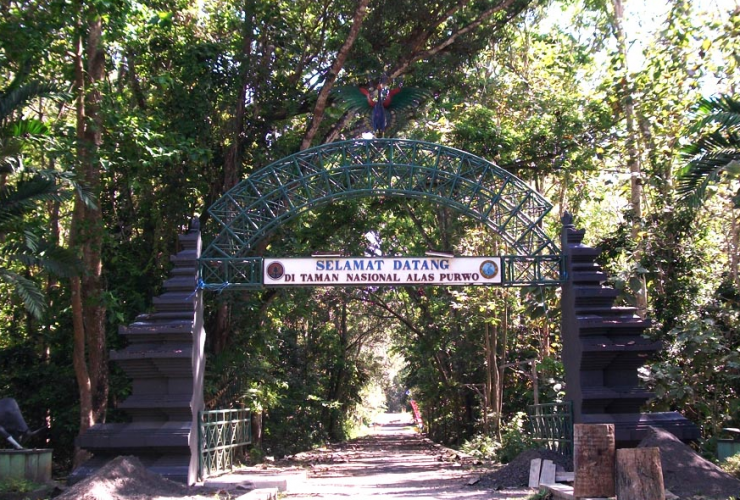 Pariwisata-Indonesia, Alas Purwo, Lokasi Rute Menuju Alas Purwo, Menjelajah Alam Alas Purwo
