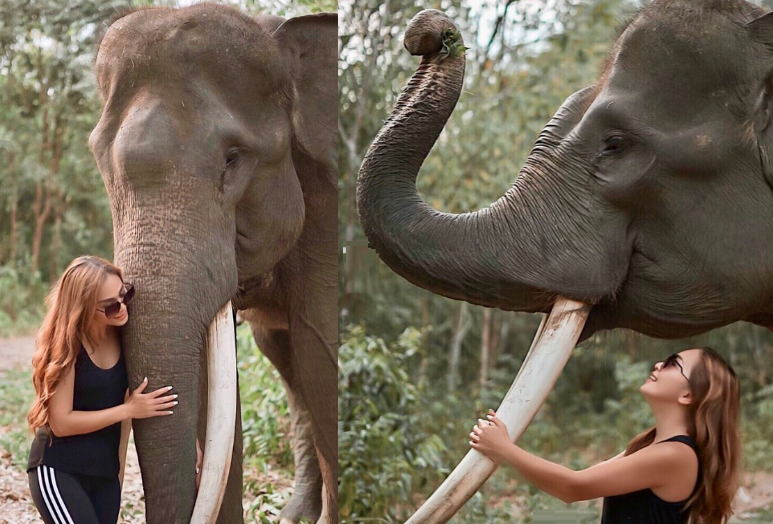 umi kalsum founder dan ceo media pvk group,GAJAH MATI MENINGGALKAN GADING HARIMAU MATI MENINGGALKAN BELANG MANUSIA MATI MENINGGALKAN NAMA,INDONESIA OFFICIAL TOURISM WEBSITE,INDONESIA'S OFFICIAL TOURISM WEBSITE,INDONESIAN TOURISM WEBSITE,IQBAL HIMAWAN,MEDIA PVK GROUP,MEDIA PVK GROUP DENGAN 10 SITUS PARIWISATA DAN E MAGAZINE,MEDIA RESMI PARIWISATA INDONESIA,PARIWISATA DI PROVINSI LAMPUNG,PARIWISATA INDONESIA,SUNARTO,TAMAN NASIONAL WAY KAMBAS,WEBSITE RESMI PARIWISATA INDONESIA,WISATA KE TN WAY KAMBAS,WISNU WARDANA