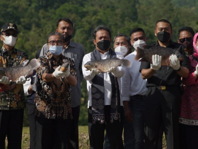 umi kalsum founder dan ceo media pvk grup,BERITA KEMENTERIAN KELAUTAN DAN PERIKANAN (KKP),BERITA KKP,INDONESIA'S OFFICIAL TOURISM WEBSITE,KEMENTERIAN KKP UPAYAKAN KESEJAHTERAAN MASYARAKAT DENGAN KEMBANGKAN GURAMI BIMA,MEDIA PVK GROUP DENGAN 10 SITUS PARIWISATA DAN E MAGAZINE,MEDIA PVK GRUP,MEDIA RESMI PARIWISATA INDONESIA,MENTERI KELAUTAN DAN PERIKANAN SAKTI WAHYU TRENGGONO,PARIWISATA INDONESIA