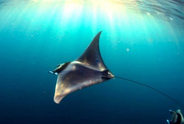 Pariwisata Indonesia