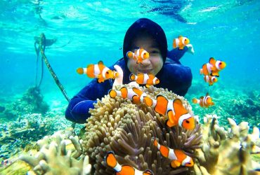 Pariwisata Indonesia