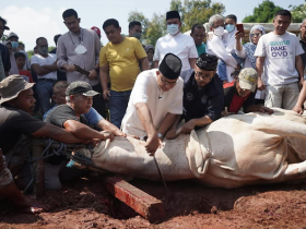Pariwisata Indonesia, Ilustrasi-Foto-Laksanakan Ibadah Kurban di Kediaman Gubernur Anies Ajak Semua Jaga Tradisi, Berita Gubernur DKI Jakarta, Berita IdulAdha 1443 H
