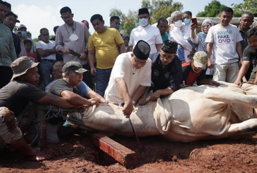 Pariwisata Indonesia, Ilustrasi-Foto-Laksanakan Ibadah Kurban di Kediaman Gubernur Anies Ajak Semua Jaga Tradisi, Berita Gubernur DKI Jakarta, Berita IdulAdha 1443 H