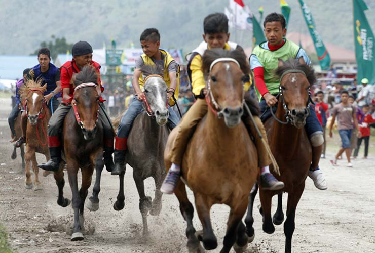 Pariwisata Indonesia, Pacu Kude, Semarak Hari Ulang Tahun Kemerdekaan Republik Indonesia, Pariwisata Aceh, Media PVK Grup, Trippers, Situs Pariwisata Indonesia, Media Pariwisata Indonesia, Kuda Beker, Usia Para joki Pacu Kude usianya antara 10 sampai 16 tahun, Pacu Kude di Zaman Penjajahan Belanda, Pacu Kude di Zaman Penjajahan Jepang, Pariwisata Nusantara, Culture Indonesia