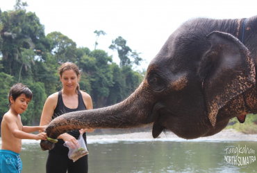 Pariwisata Indonesia, Tangkahan, Yuk wisata alam ke Tangkahan yang berada di kawasan Taman Nasional Gunung Leuser Sumatera Utara, Taman Nasional Gunung Leuser Sumatera Utara, Tangkahan adalah salah satu obyek ekowisata yang ada di kawasan Taman Nasional Gunung Leuser Sumatera Utara, TANGKAHAN merupakan The Hidden Paradise bagi Pecinta Alam, Pariwisata di Sumatera Utara, Pariwisata di Medan, Media PVK Grup, Pariwisata Indonesia 2022