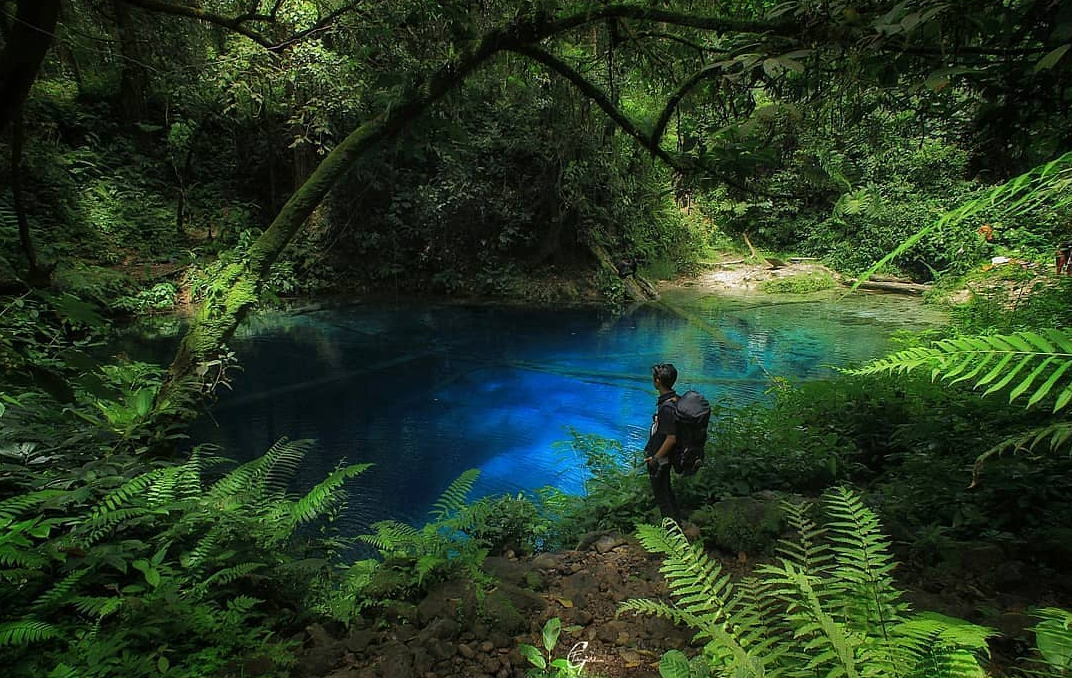 PARIWISATA DI INDONESIA,DANAU KACO,PARIWISATA INDONESIA,PARIWISATA INDONESIA 2022,MEDIA PVK GROUP,PT PRIMA VISI KREASINDO,UMI KALSUM FOUNDER DAN CEO MEDIA PVK GROUP,SITUS PARIWISATA INDONESIA,MEDIA ONLINE PARIWISATA INDONESIA,JELAJAH DANAU KACO YANG BERADA Di Dalam Kawasan Taman Nasional Kerinci Seblat Provinsi Jambi,ALAMAT DANAU KACO,LOKASI DANAU KACO DI MANA,LIBURAN DI INDONESIA SAJA