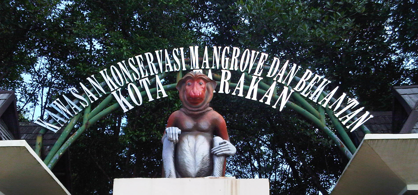 Pariwisata Indonesia, Pariwisata Indonesia 2022, Berita Pariwisata Indonesia, Artikel Pariwisata Indonesia, Media Online Pariwisata Indonesia, Situs Online dan Panduan Pariwisata Indonesia, Pariwisata Kaltara, PT Prima Visi Kreasindo, Umi Kalsum Founder dan CEO PVK Group, Keistimewaan Pariwisata di Kalimantan Utara, Anita Basudewi Simamora, Pariwisata Indonesia Official, Cari Berita Bekantan, Foto Bekantan Foto Monyet Belanda,Bekantan hanya ditemukan di negara mana saja,Lokasi Kawasan Konservasi Mangrove dan Bekantan, Kawasan Konservasi Mangrove dan Bekantan, Destinasi Wisata Tak Biasa di Kalimantan Utara,Berita Pariwisata di Tarakan, Pariwisata di Provinsi Kalimantan Utara