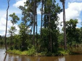 Pariwisata Indonesia, Pulau Begansar, Pulau Bergerak di Kalimantan Barat, Artikel Pariwisata Indonesia, Berita Pariwisata, Media PVK Group, Anita Basudewi Simamora, PT Prima Visi Kreasindo, Pariwisata Kalimantan, Panduan Wisata di Indonesia