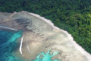 Pariwisata Indonesia, Media Online Pariwisata Indonesia, Situs Pariwisata Indonesia, Panduan Berwisata di Indonesia, Guide Pariwisata Indonesia, Pariwisata Indonesia 2022, Pariwisata Indonesia Official, Media PVK Group, PT Prima Visi Kreasindo,Umi Kalsum Founder dan CEO Media PVK Group, Objek Wisata Pantai di Banten, Taman Nasional Ujung Kulon, Jelajah Taman Nasional Ujung Kulon, Di mana lokasi Taman Nasional Ujung Kulon, Taman Nasional Ujung Kulon ditetapkan oleh UNESCO sebagai salah satu Word Heritage Site, Objek Wisata apa saja yang bisa ditemukan di Taman Nasional Ujung Kulon, Menjelajah Sungai Cigenter Pesona Pulau Peucang, Luas Taman Nasional Ujung Kulon, Pariwisata di Banten, Berita Pariwisata Indonesia, Artikel Pariwisata Indonesia, Anita Basudewi Simamora, Pariwisata Indonesia Official, Cari Berita Pantai Indah di Banten, Deretan Pantai Populer di Banten, Jejak Hindu Budha di Taman Nasional Ujung Kulon, awisata sejarah di Pulau Panaitan, Arca Ganesha di Taman Nasional Ujung Kulon, Taman Nasional Ujung Kulon tawarkan pesonanya tidak hanya Suaka Badak Jawa, Pohon Kiara di Taman Nasional Ujung Kulon