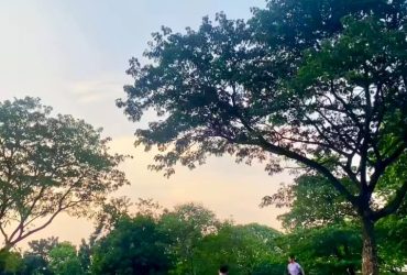 Empat Tempat Asyik di Jantung Metropolis