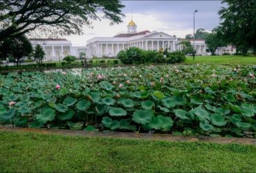 Jelang Nataru, Wamenpar Cek Kesiapan Destinasi Wisata Bogor