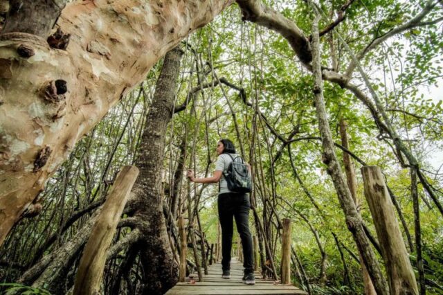 Pariwisata Berkelanjutan Jadi Fondasi Daya Saing Global Indonesia