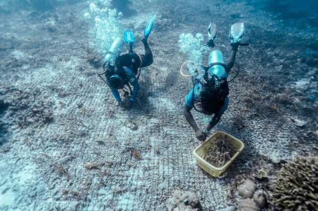 Pariwisata Berkelanjutan Jadi Fondasi Daya Saing Global Indonesia