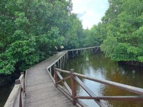 3 Destinasi Tempat Wisata Alam yang Asyik di Bontang