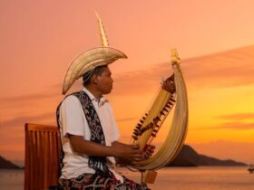 Sasando, Alat Musik Tradisional NTT yang Mampu Berkolaborasi dengan Musik Modern