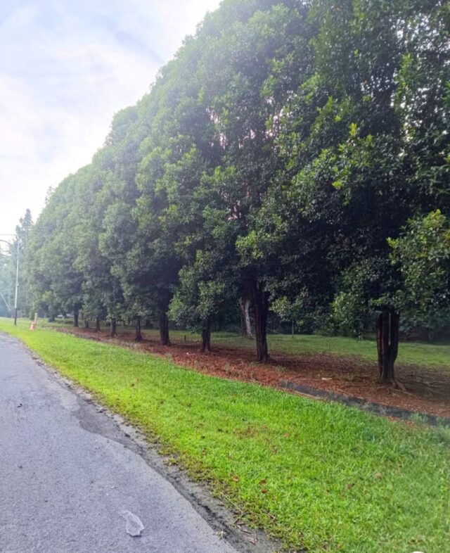 3 Destinasi Tempat Wisata Alam yang Asyik di Bontang