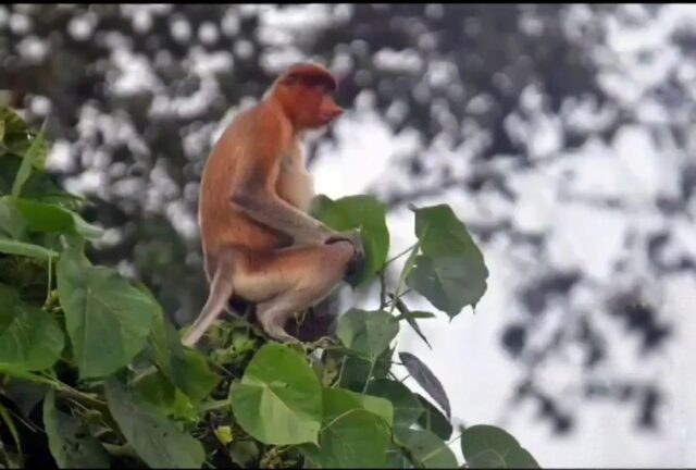 3 Destinasi Tempat Wisata Alam yang Asyik di Bontang