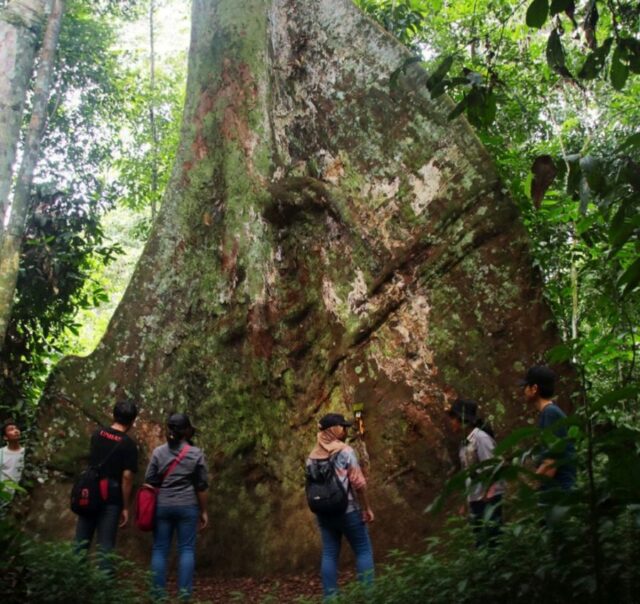 3 Destinasi Tempat Wisata Alam yang Asyik di Bontang