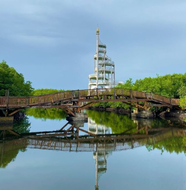 Saatnya Wisata ke Hutan Mangrove & Wajib Masuk Bucket List!