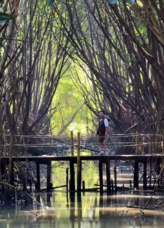 Saatnya Wisata ke Hutan Mangrove & Wajib Masuk Bucket List!