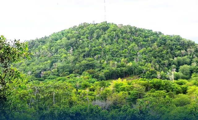 Menikmati Landmark Kota Cantik Palangka Raya