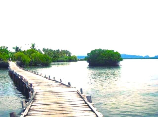 Liburan Menakjubkan di Pulau Osi, Surga Tersembunyi di Seram Bagian Barat