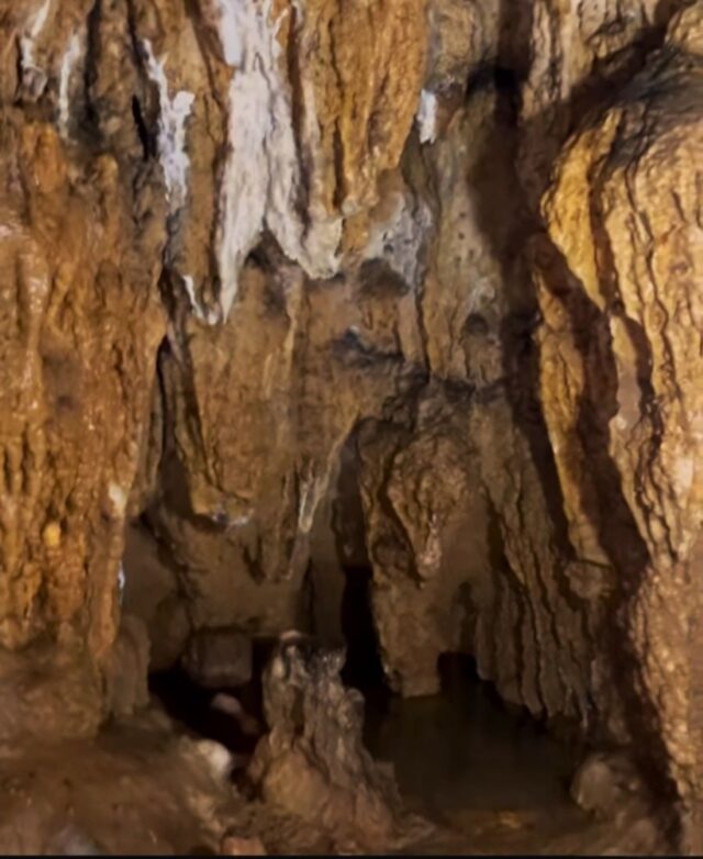 Taman Nasional Bantimurung, Pesona Alam Karst dan Kerajaan Kupu-Kupu di Sulawesi Selatan