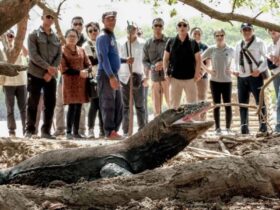Seiring Hari Pariwisata Dunia, Indonesia Tourism Outlook 2026/2027 Diluncurkan