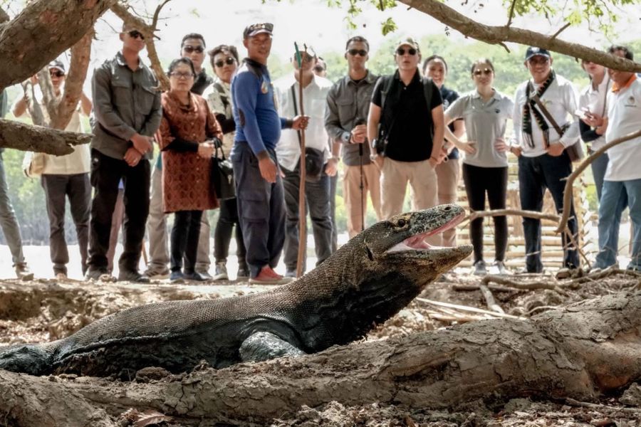 Seiring Hari Pariwisata Dunia, Indonesia Tourism Outlook 2026/2027 Diluncurkan